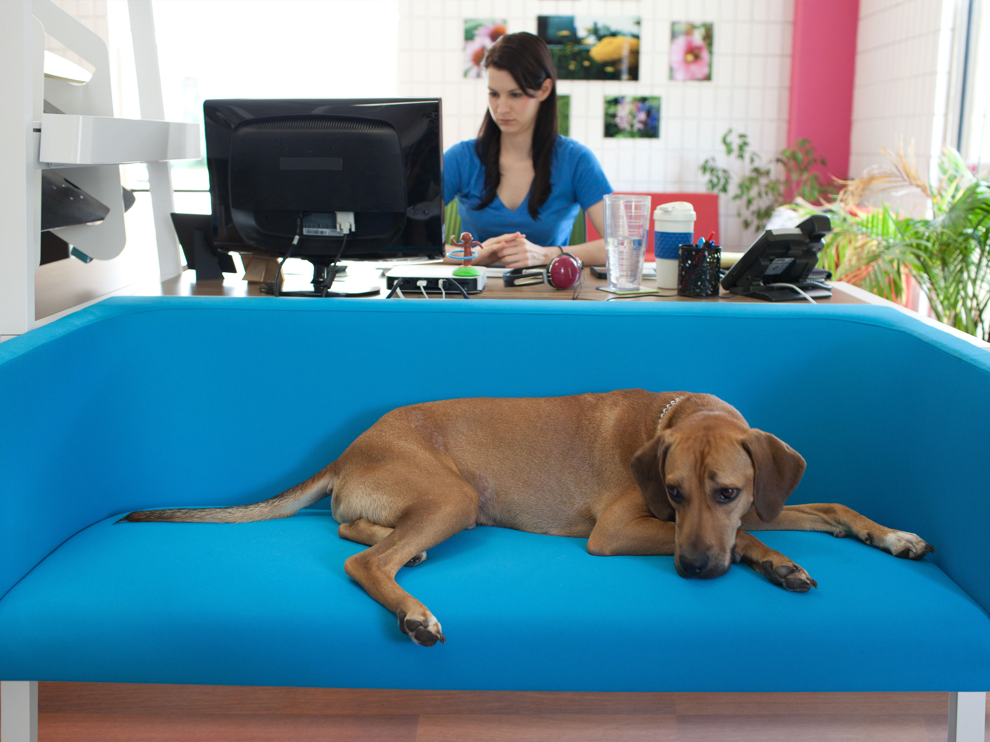 Home Office Furniture