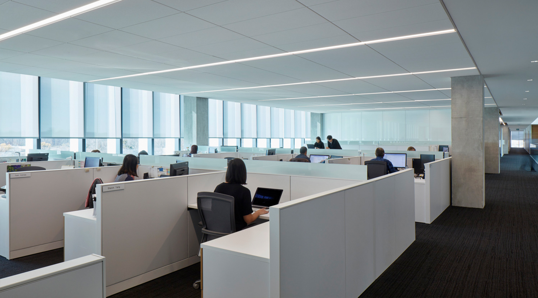 Ergonomically optimized functional employee cubicles organized for Canon