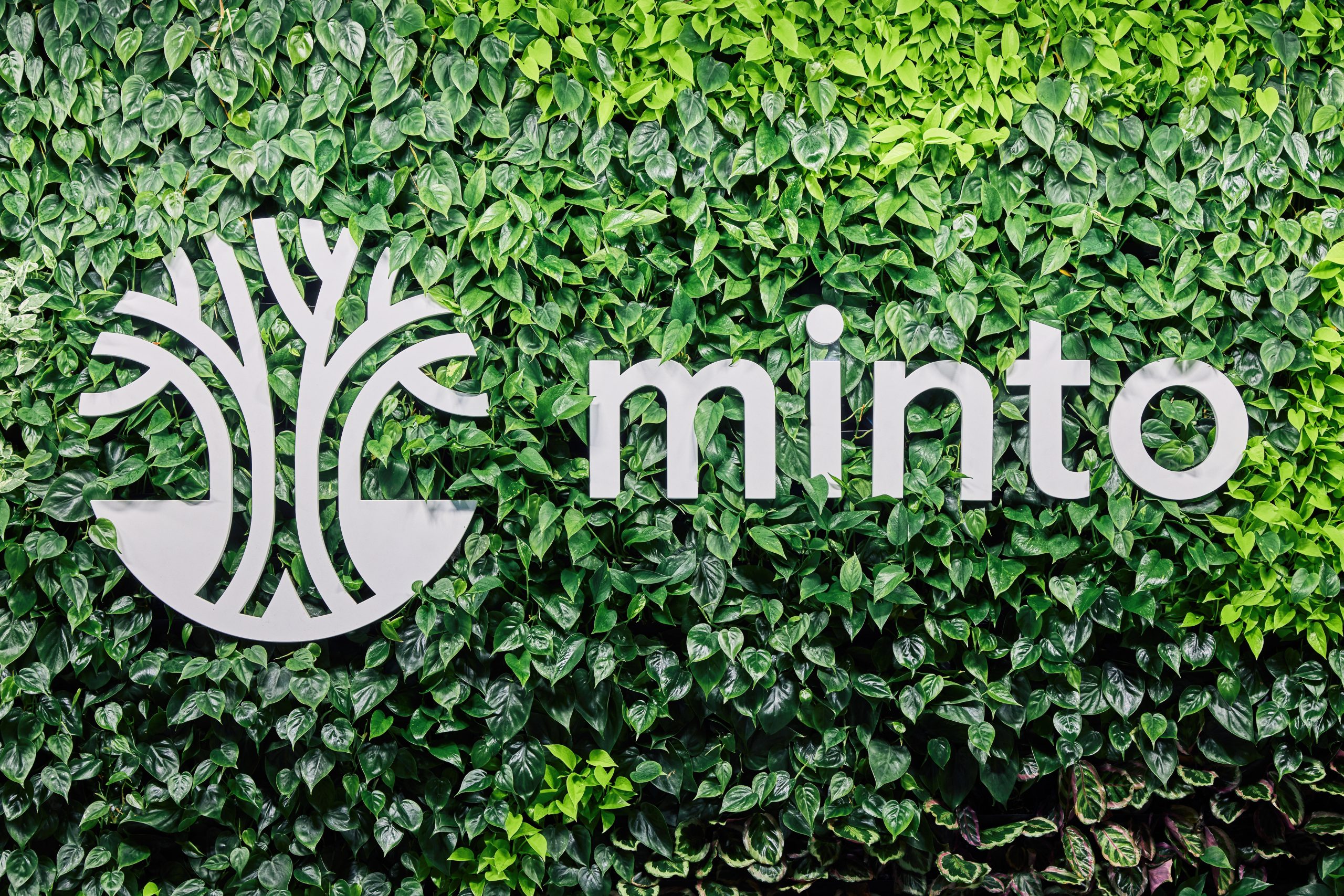 MINTO_HQ(HIGH)-34